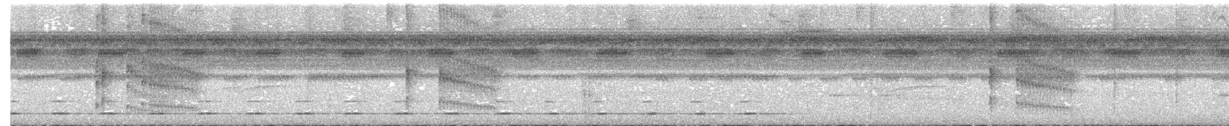 Black-and-white Tody-Flycatcher - ML613110046