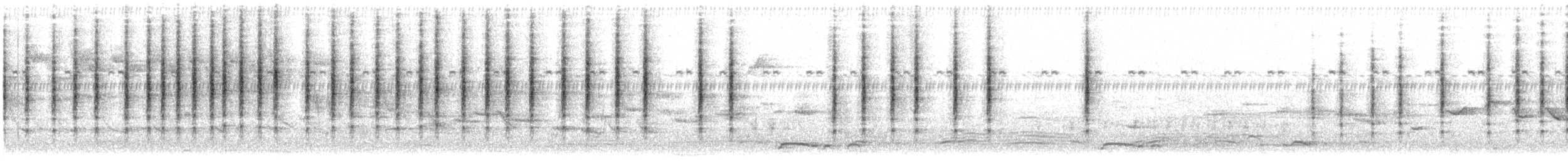 Кобилочка плямиста - ML613111700