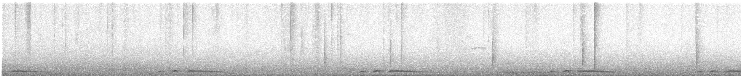 珠頸斑鳩(chinensis/tigrina) - ML613112144