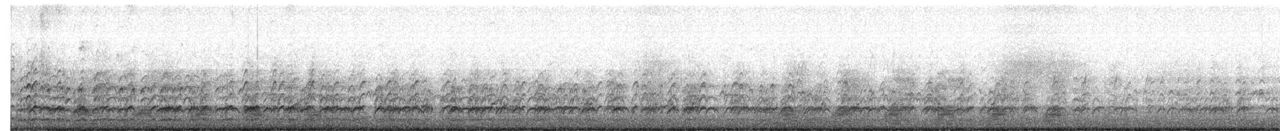 Schwarznacken-Stelzenläufer - ML613112541