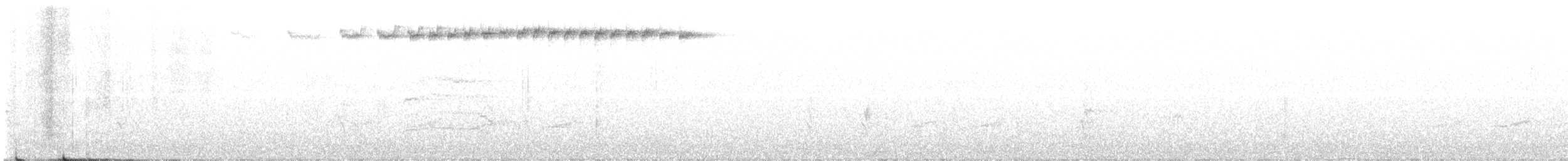 Широкохвістка далекосхідна - ML613115715