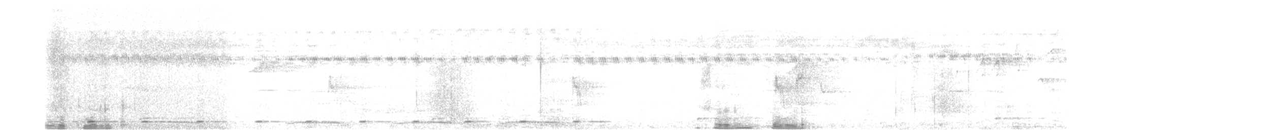 Бородастик західний - ML613120303