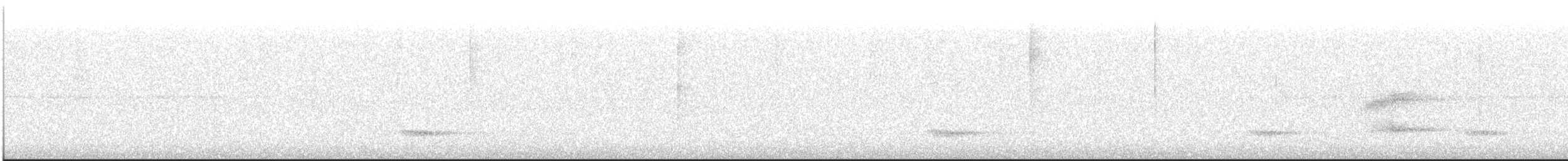 Каштановый скрытохвост - ML613121006