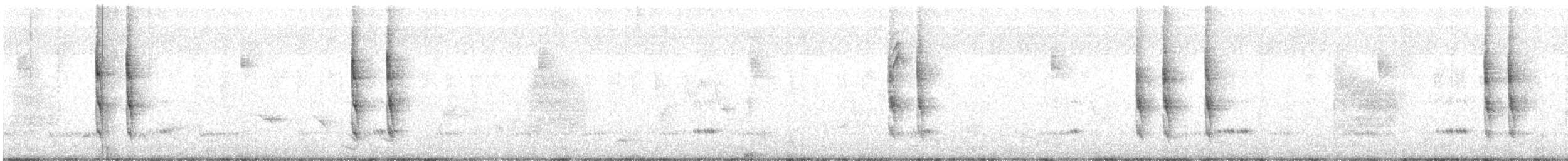 Karolina Çıtkuşu [berlandieri grubu] - ML613121011
