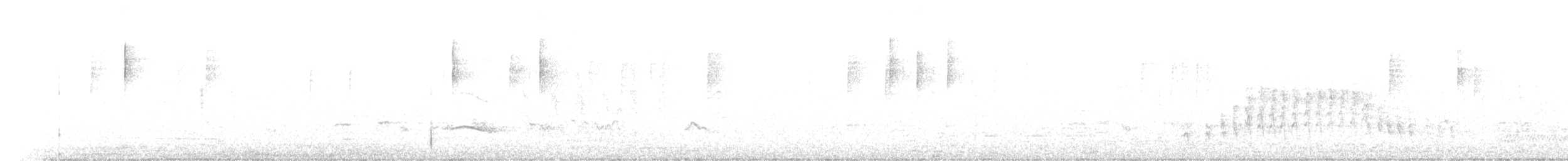 svartvingeglente - ML613121247
