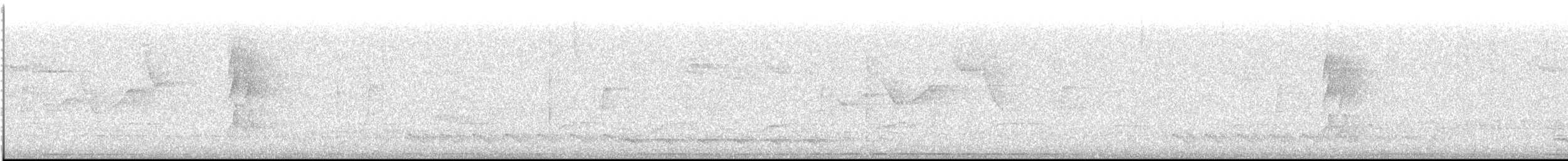 hvitstrupespadenebb - ML613121295