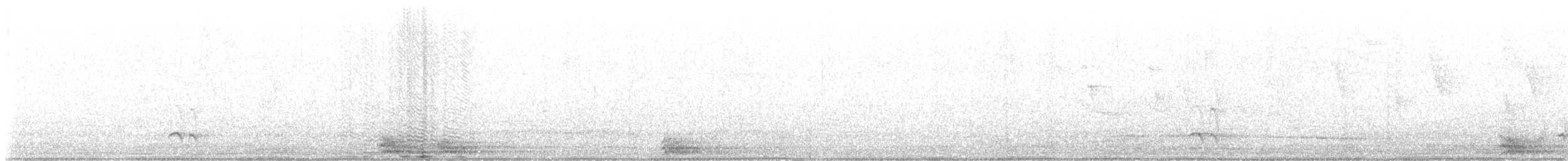 Fleckenbrust-Ameisenfänger - ML613125120
