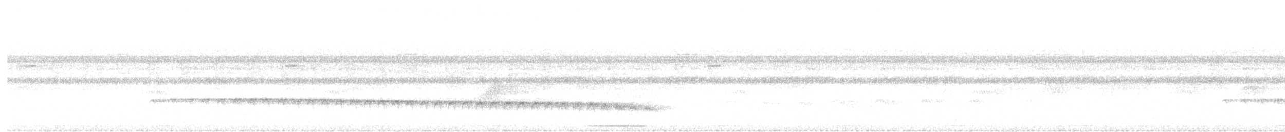 White-browed Antbird - ML613127342