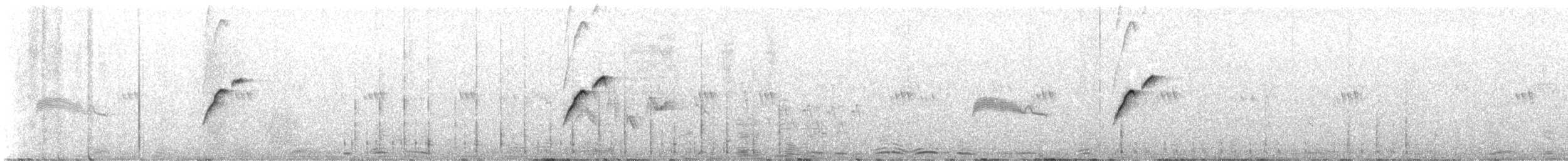 Batı Amerika Sinekkapanı (occidentalis/hellmayri) - ML613128767