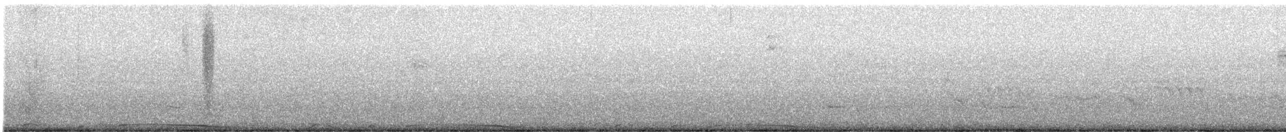 holub neotropický - ML613131414