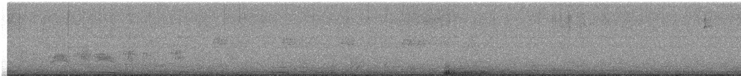 holub neotropický - ML613131415