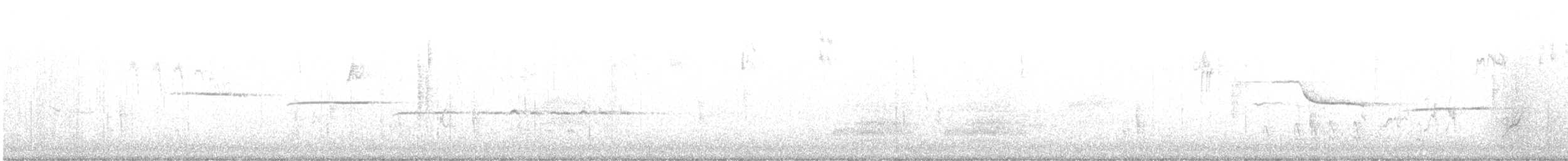 Белогорлая зонотрихия - ML613131616