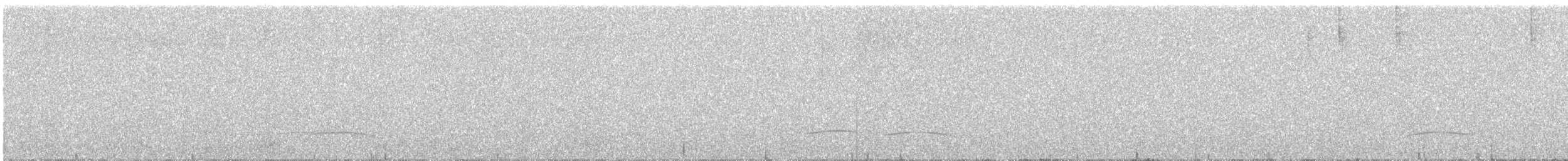 mørkhettetyrann (lawrenceii gr.) - ML613133431