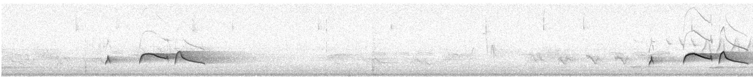 Boreal Sinekkapan - ML61313501