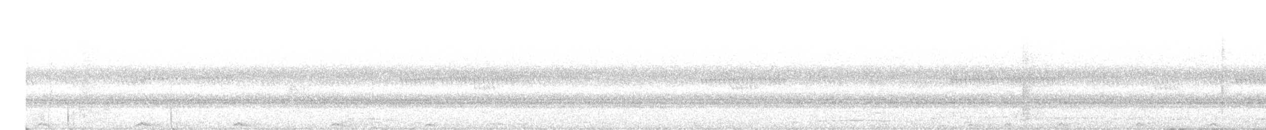 Сова-лісовик бура [група virgata] - ML613135014