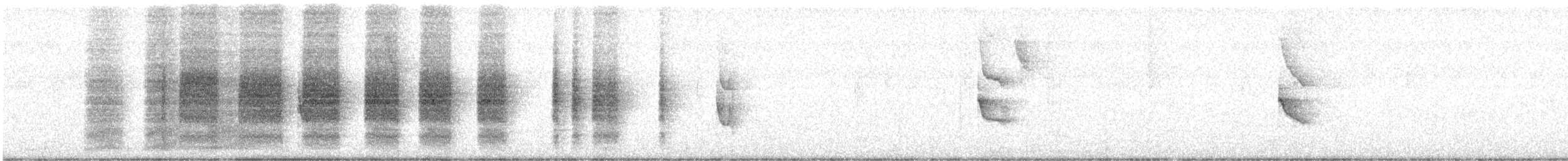 Белоухий крапивник - ML613135387