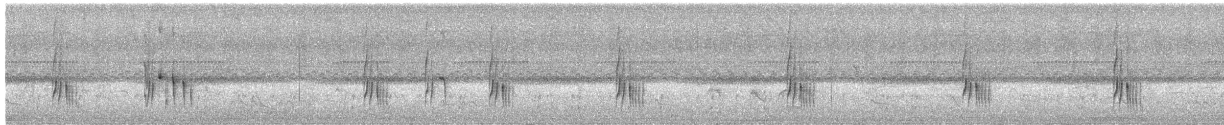 Серогрудый трескунчик - ML613136131