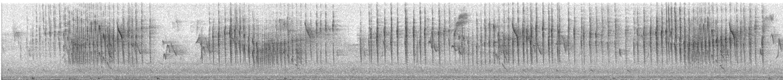 nordmeisetyrann - ML613137907