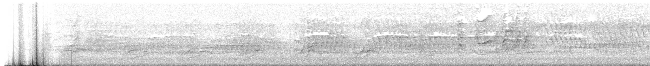 Kara Karınlı Islıkçı Ördek - ML613138632