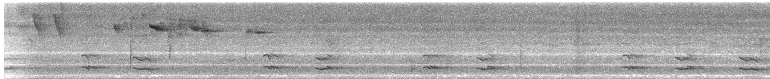 tukan žlutohrdlý (ssp. swainsonii) - ML613139670