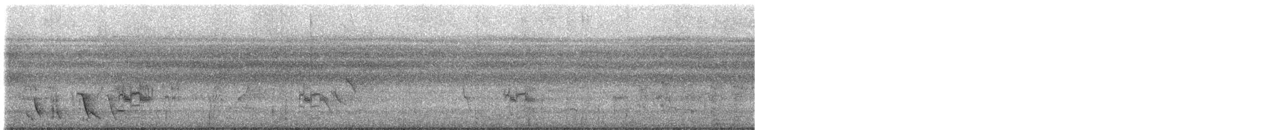 svartpanneparakitt - ML613145491