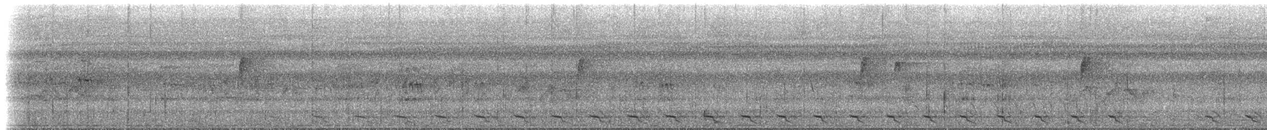 Trogon à queue blanche - ML613145498