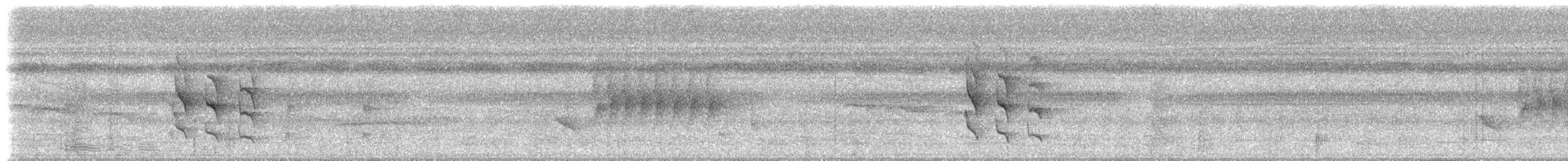 White-flanked Antwren (White-flanked) - ML613146134