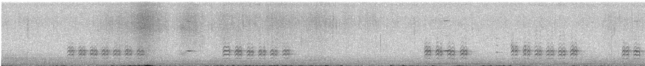 Weißbrustkleiber - ML613151609