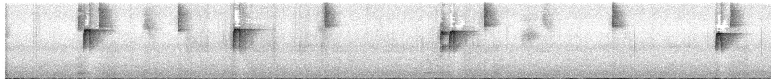 Spotted Barbtail - ML613151627