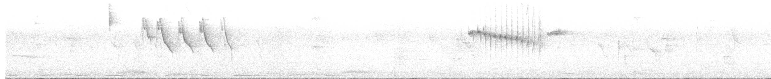 White-eared Ground-Sparrow - ML613151723