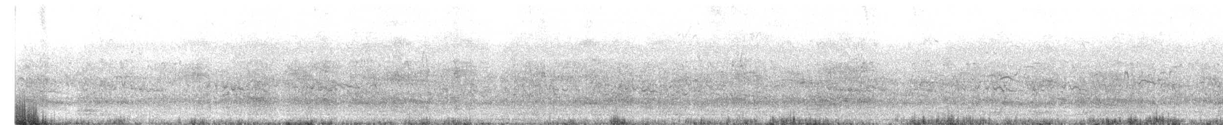 Маорийская чайка - ML613154334