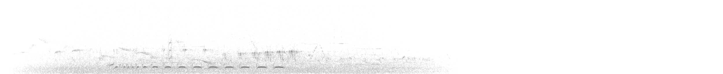 Zebra Dove - ML613155378