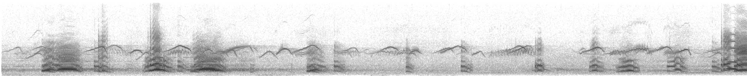 Mandschurenkranich - ML613163598