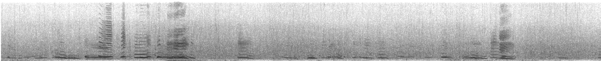 Beltxarga oihularia - ML613163657