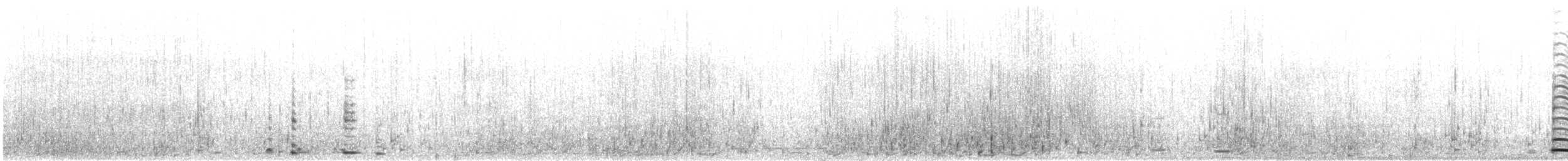 Beltxarga oihularia - ML613163668