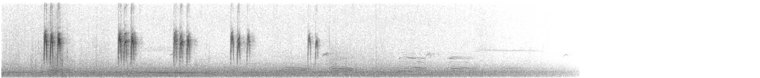 White Wagtail - ML613163951
