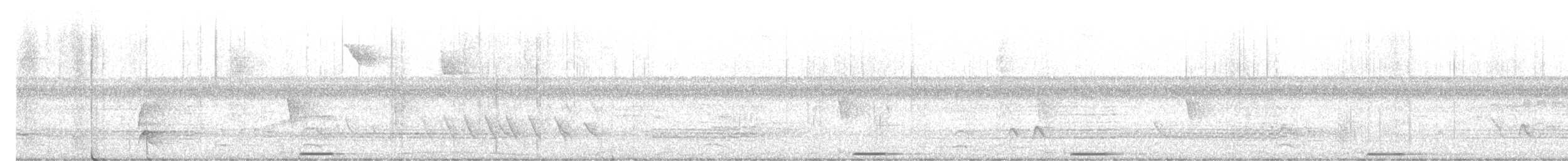 holoubek šedomodrý - ML613163985
