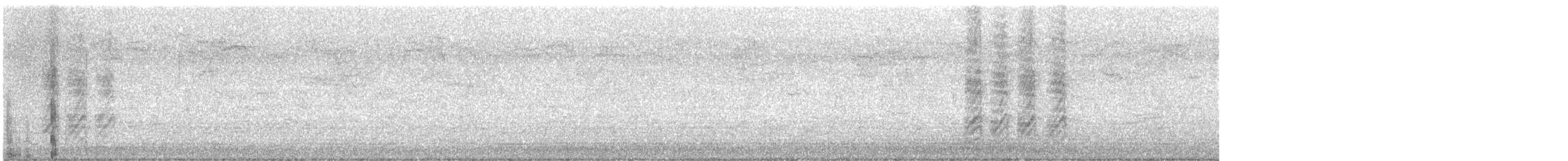 Kara Gagalı Saksağan - ML613164748