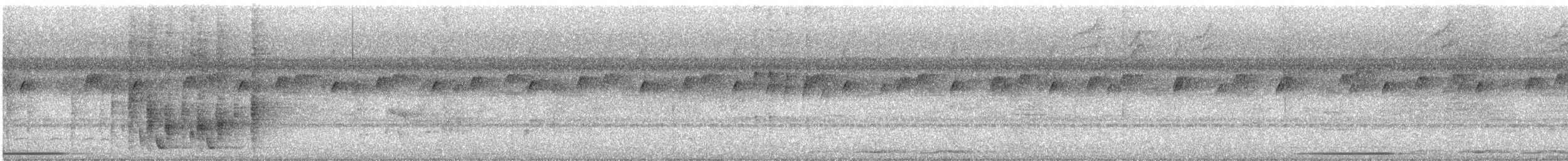 Troglodyte grivelé - ML613165608