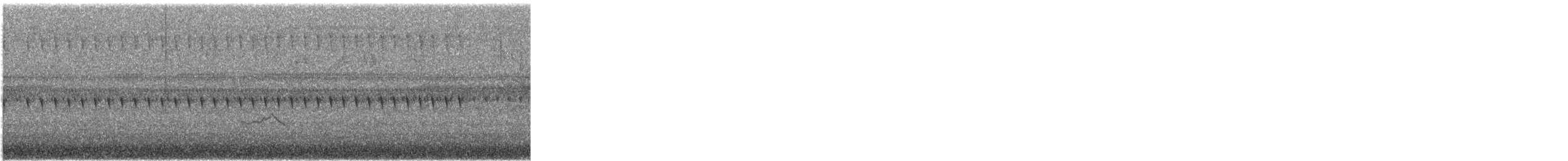 Black-eared Cuckoo - ML613165935