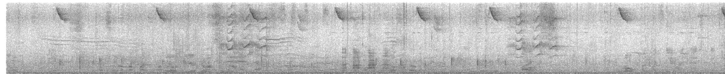 Starkschnabel-Maskentyrann - ML613166008