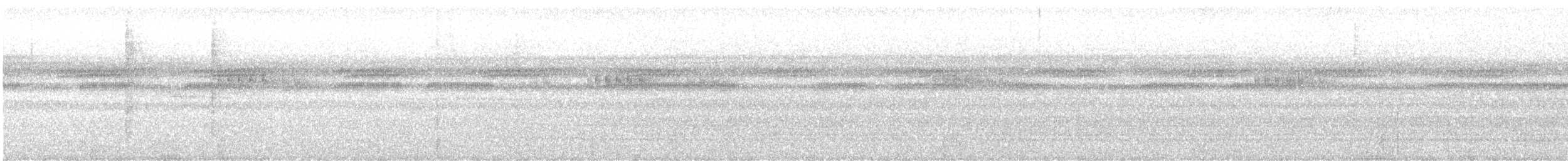 Синелобый ланцетоклюв - ML613167471