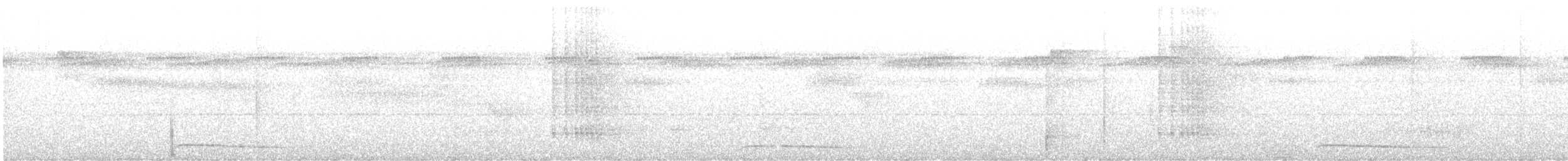 Safir Renkli Bıldırcın Kumrusu - ML613167635