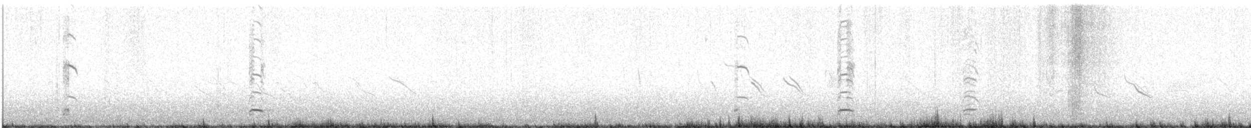 Андская чайка - ML613170213