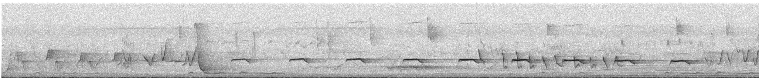 ハイガシラヒメカッコウ（variolosus グループ） - ML613170235