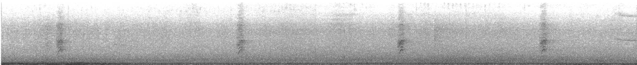 Magellandrossel - ML613170604