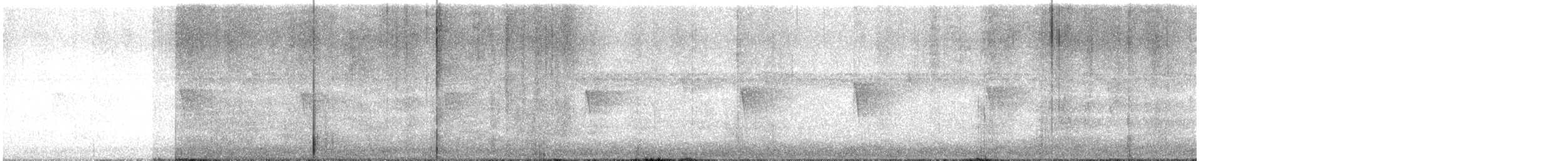 Светлобрюхий фиби - ML613170612