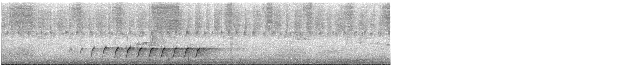 Королаз плямистобокий - ML613171697