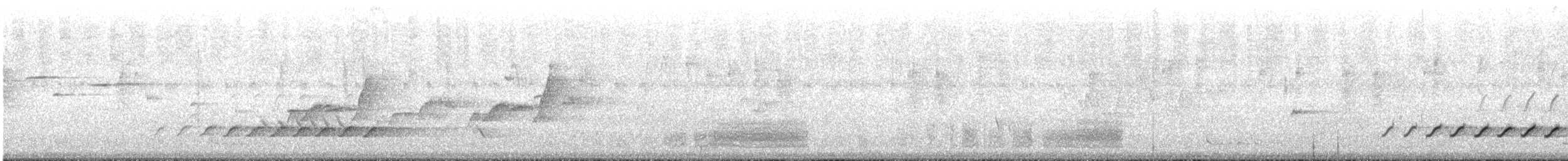 Королаз плямистобокий - ML613171711