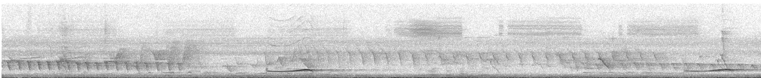 Pasifik Koeli (cyanocephalus/subcyanocephalus) - ML613176201